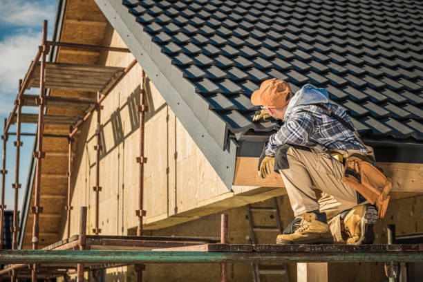 Best Roof Moss and Algae Removal  in Athens, TX